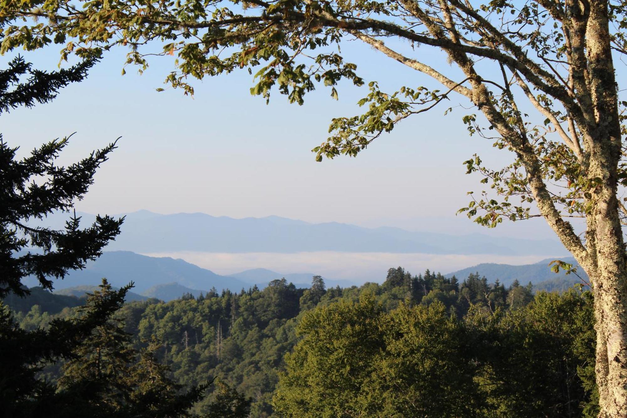 Apartament Stairway To Heaven, Breathtaking Mtn Views Indoor Pool & Hot Tub Gatlinburg Zewnętrze zdjęcie